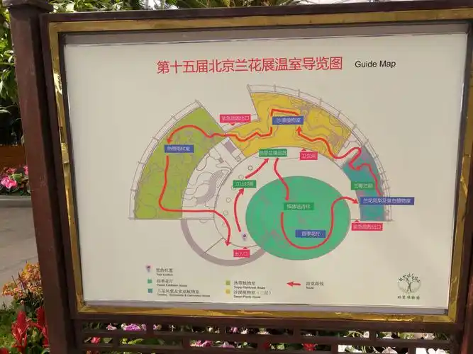 陪宝宝北京植物园看花画花.