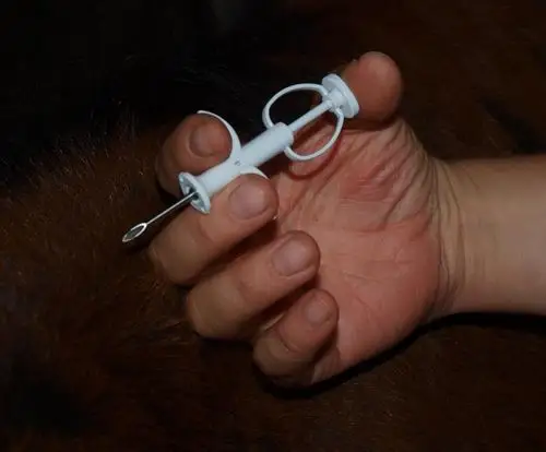 动物芯片,金龙鱼芯片,注射式玻璃管动物芯片 ,cku芯片, 龙鱼芯片