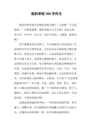 我的学校300字作文