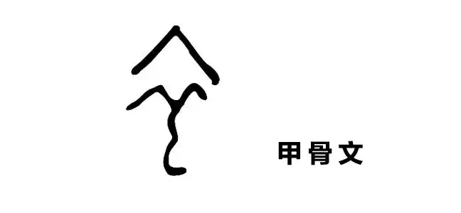 作为最早的象形文字之一,【衣】资历深厚,远在甲骨文时期,就已出现了.