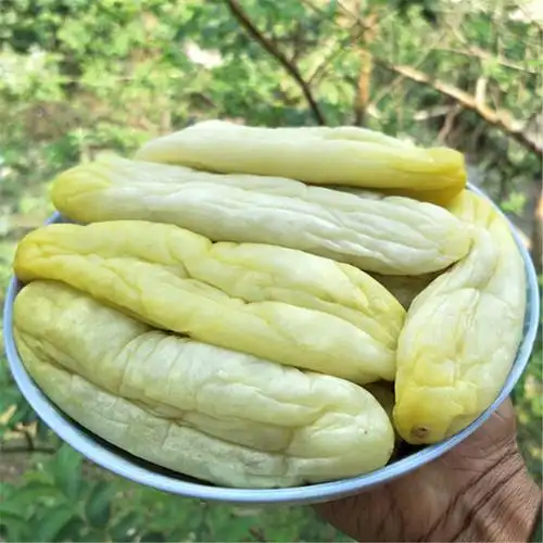 共108 件广西特产瓜皮相关商品