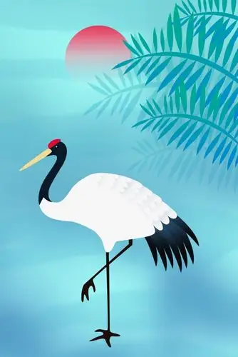 动物野生动物丹顶鹤 插画素材