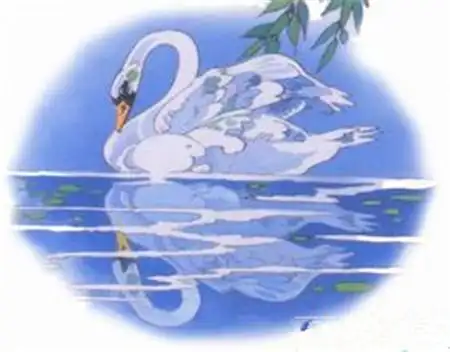 丑小鸭变白天鹅