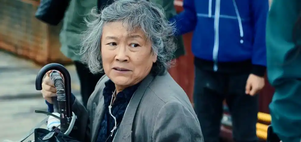 《巡回检查组》胡雪娥结局,手捧锦旗,为儿子伸冤成功!_腾讯新闻