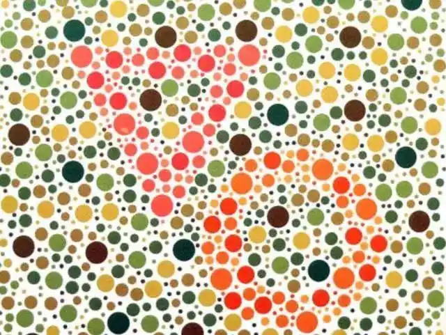 车管所驾考色盲新测试图若看出图2的鹿劝你趁早放弃驾考