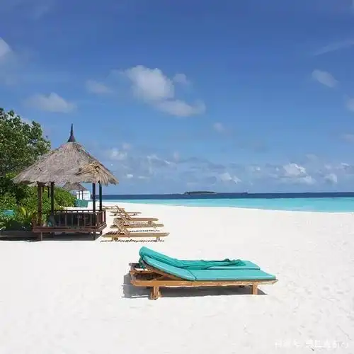 阳光沙滩海浪椰树