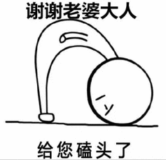 谢谢老婆大人,给您磕头了_老婆大人_磕头_谢谢表情