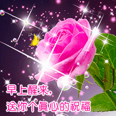 240_240gif 动态图 动图