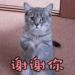 谢谢你真人聊天动态表情图