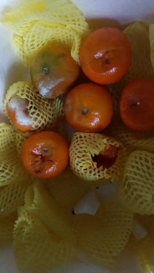 沃柑6.5 - 7cm 3两以上