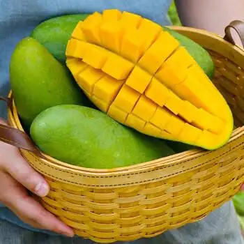 海南大青芒特大芒果当季新鲜水果青皮凯特芒特产整箱10斤礼盒装大青芒