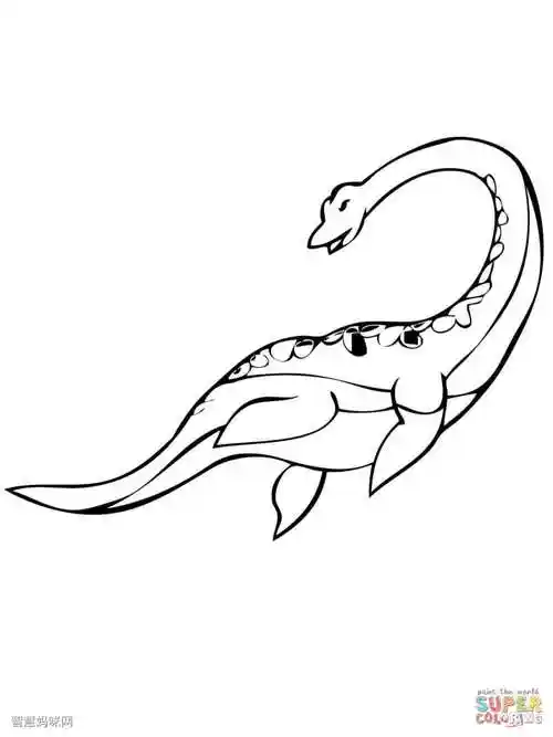 蛇颈龙简笔画图片4