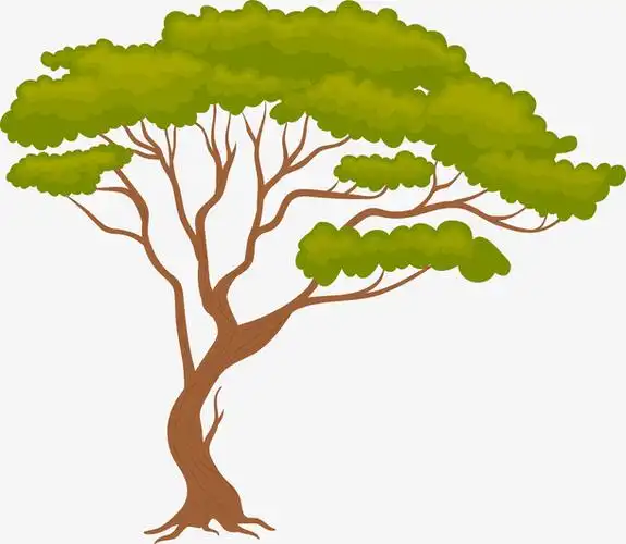 卡通手绘春天树木装饰插画