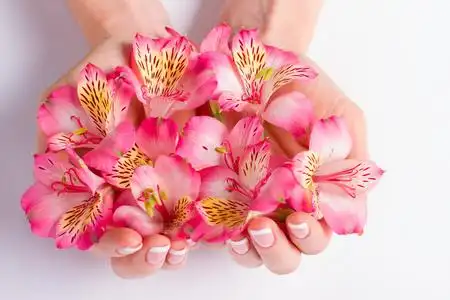 捧在手心里的纸片小人摄影高清图片