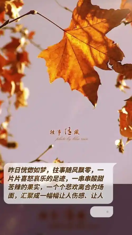 往事如梦图片如梦的图片往事随风的诗句往事随风图片竖版《往事随风》