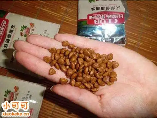 100克就是2两狗粮看单个的份量,单个份量重的话估计没有多少粒.
