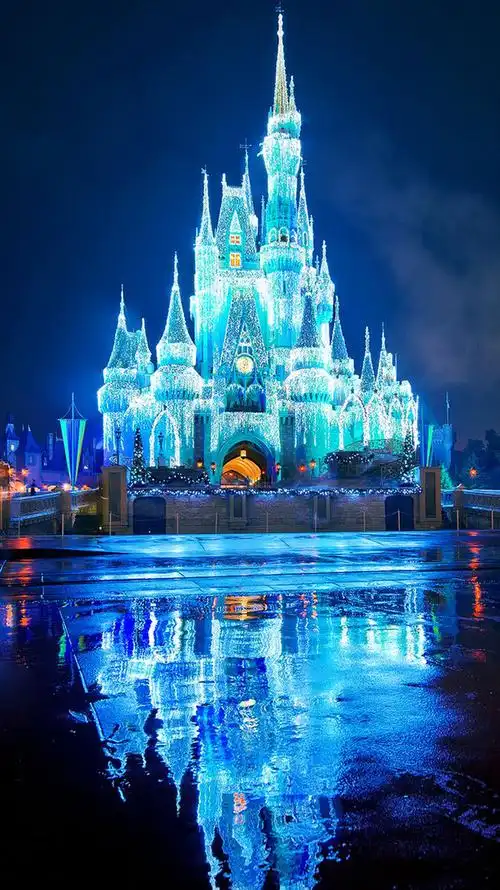 上海迪士尼乐园的夜景非常美