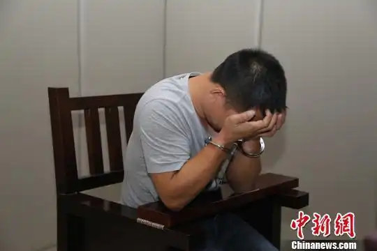 嫌疑人王某某在接受审讯. 临安警方 供图 摄