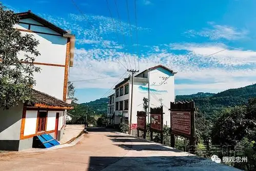 彭家院子:忠县美丽宜居村庄的样板,为家乡点赞!