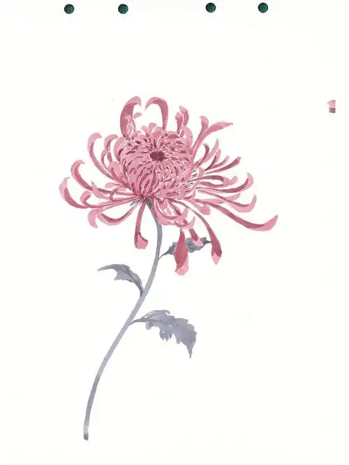 古风水彩菊花内附少量步骤图