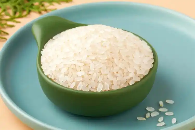 十月稻田胚芽米东北大米5斤