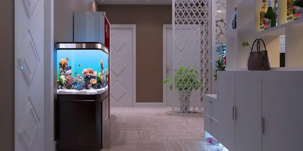 玄关放鱼缸的位置摆得好,人缘财运双丰收!