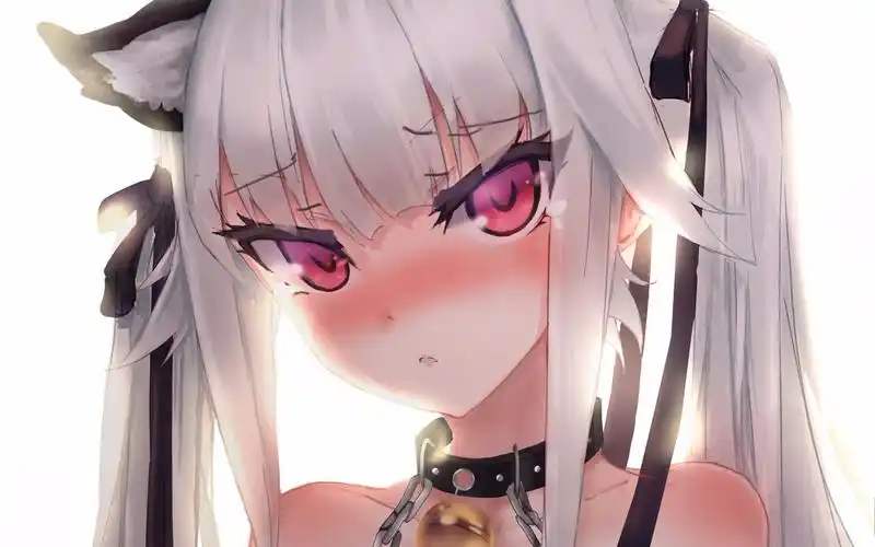 【听说认识的都是老司机】这次你会和我一起走下去