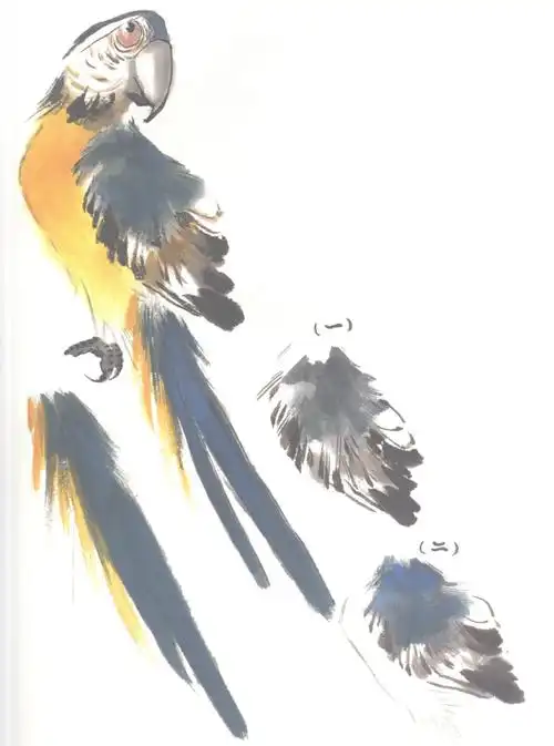 国画教程:写意《玉兰鹦鹉》,绿鹦鹉画法步骤