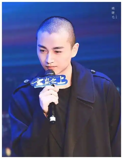 非常标准的全天空风格(前面的是剃了哈)那么,在发际线的男明星中,有