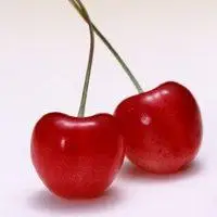 水果微信头像图片大全【点击鼠标右键下载】