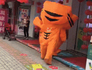 两只老虎打架,真没想到能这么萌!