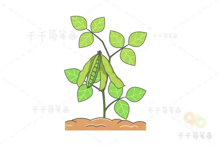 绿豆简笔画画法