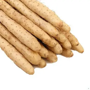 白嘴山药5斤装 河北土特产新鲜蔬菜小白嘴麻山药农家自产山药