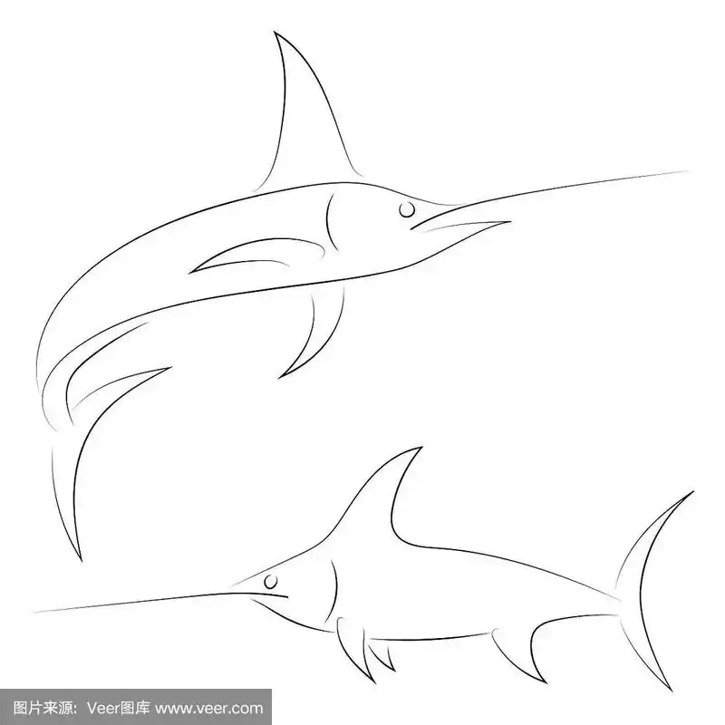 黑线剑鱼白底手