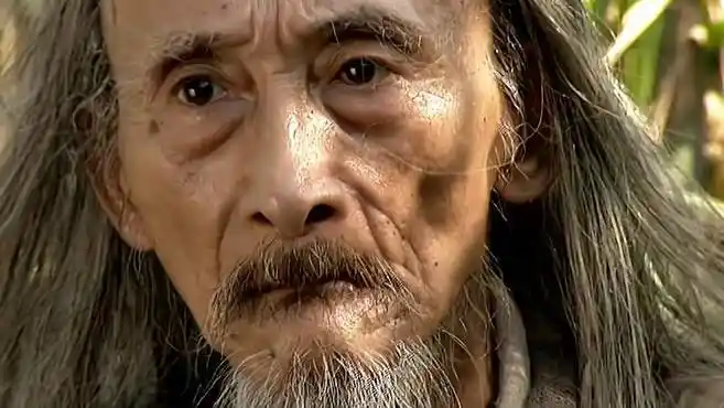 笑傲江湖:曲洋弹奏琴乐,万万没想到一身武艺,竟懂琴乐!