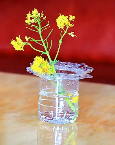 我的小制作--花瓶(杨依瑶)