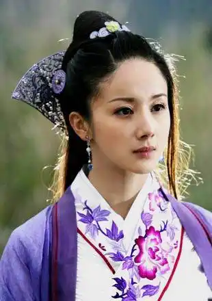 夏雪宜徒弟,袁崇焕之子简介林家栋饰演技评分暂无袁承志62碧血剑演员