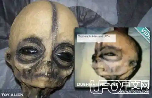 科学家曝光51区外星人真相  到底谁在说谎?,ufo中文网