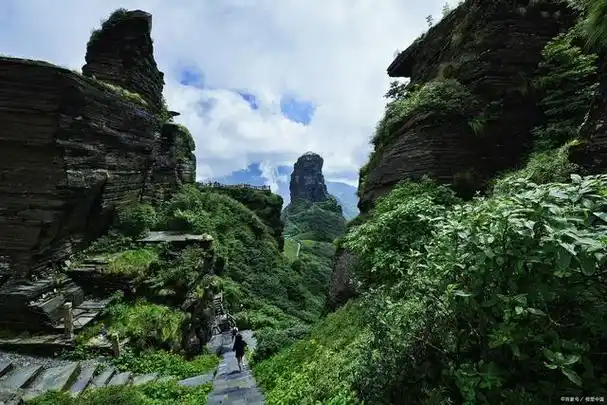 探索佛教名山,贵州梵净山几月份去最好