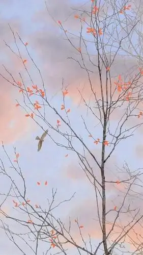 壁纸锁屏「no.193」唯美有意境的壁纸