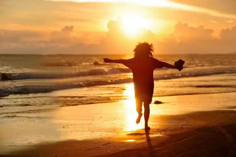 风 会记得 一朵花的香