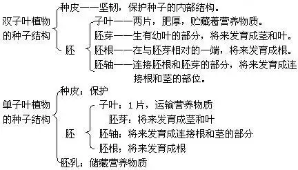 展开全部 西瓜是双子叶植物. 向左转  向右转