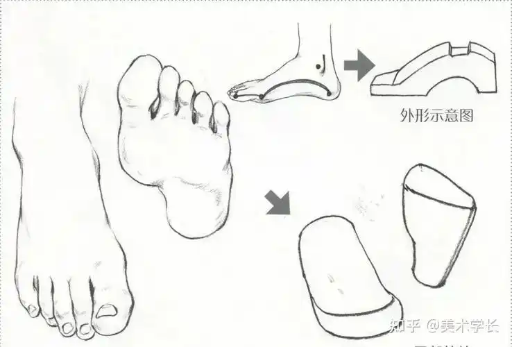 脚掌简笔画企鹅脚掌简笔画