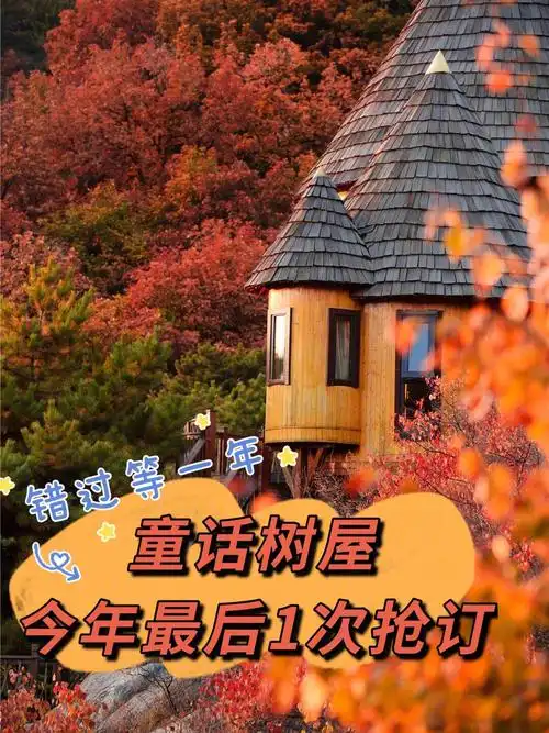 最后1次抢订云峰山童话树屋61亲子游必打卡