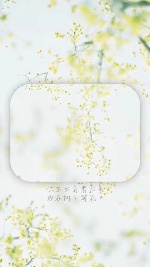 创意唯美花朵文字短句