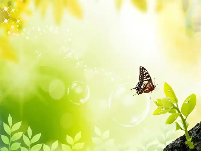 ppt模板优雅蝴蝶ppt模板ppt