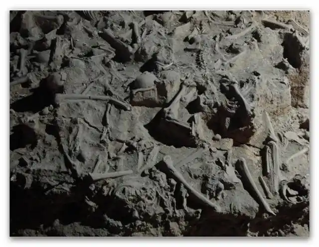 纸上谈兵的赵括根源责任在于赵奢谈谈父亲对孩子教育的重要性