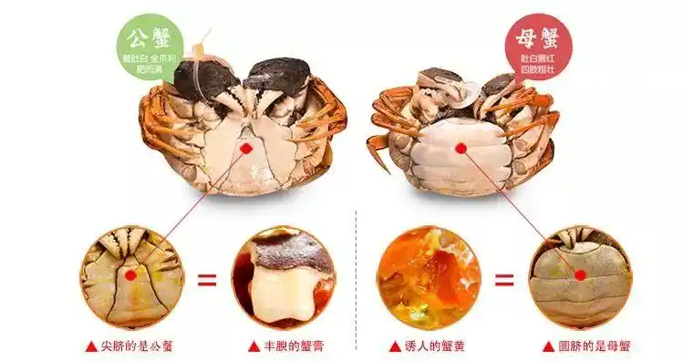 挑选螃蟹