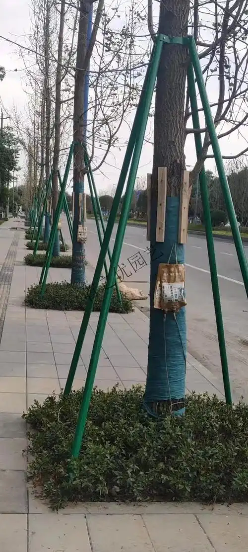 镀锌钢管树木支撑架树木支撑杆大树防风树支撑园林绿化支架固定器