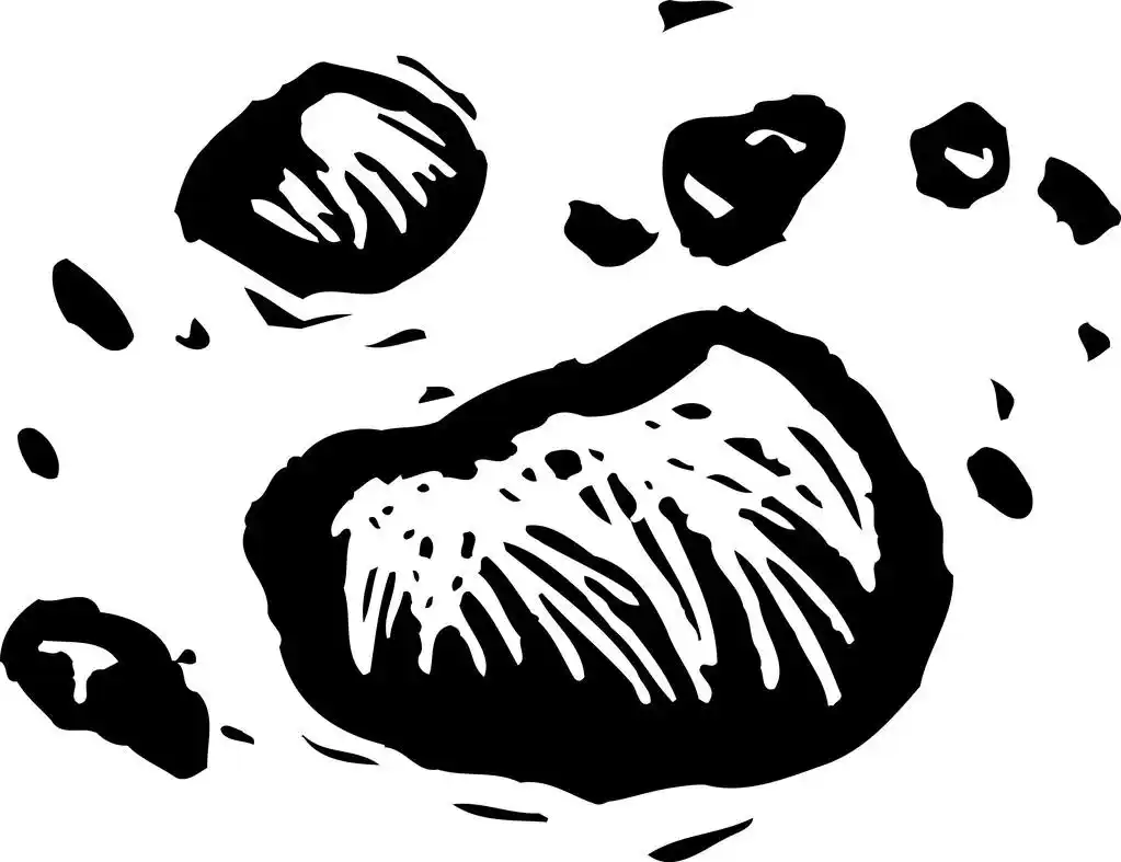 矢量图的污垢土块,黑色和白色矢量插图的污垢土块